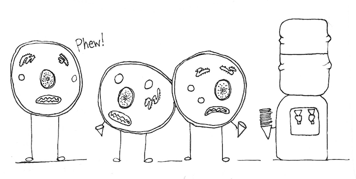 cartoon yeast at the water cooler express relief