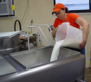 cheese-maker at work
